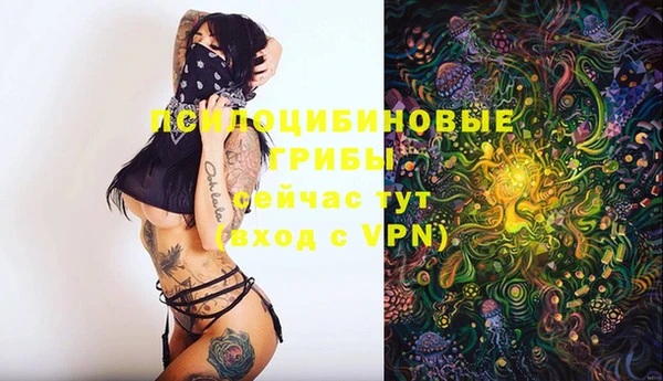 синтетический гашиш Гусиноозёрск