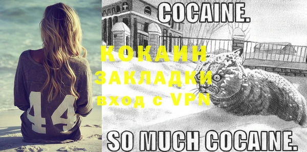 прущая мука Вяземский