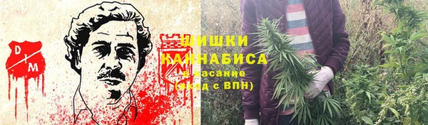 стафф Вязьма