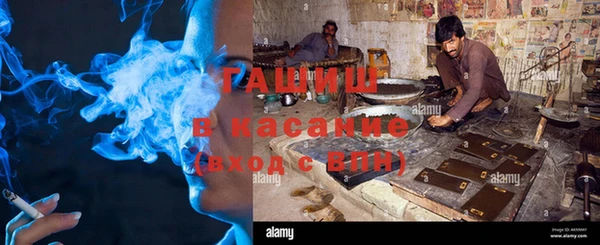 стафф Вязьма