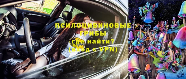 стафф Вязьма